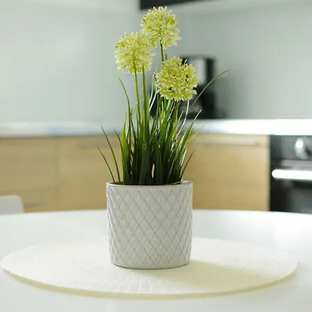 Apartment Fresh - Parking Included Izola Exterior photo